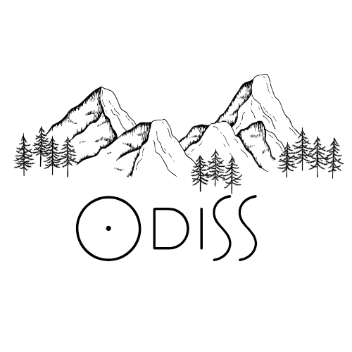 Odiss design